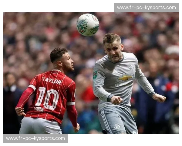 绿茵场上的“蜂鸟”协奏曲：布伦特福德与布里斯托尔城的宿命与进化